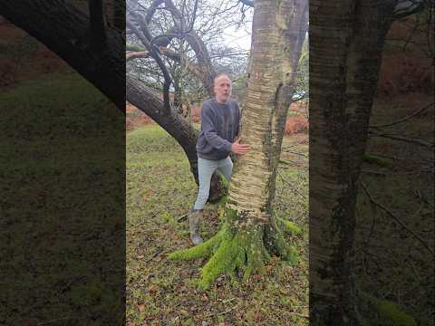 Midway Reforestation #nativetrees #forest #adventure #explore #nature #reforestation #outdoors #mud