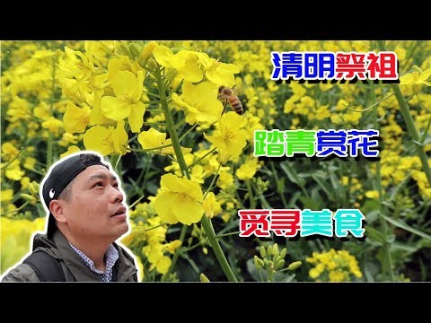 清明祭祖，油菜花黄，寻觅美食，换了马甲也认识