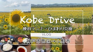 【神戸西/小野市】焼肉ランチ/ひまわり畑/焼肉たにざき/ひまわりの丘公園/ゆるVlog