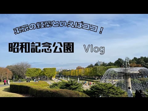 【紅葉】昭和記念公園　イチョウ並木(銀杏)