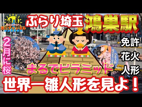 【ぶらり.埼玉】みよ！これが世界一の雛人形だ！の人形と免許と花火の街鴻巣を散策！