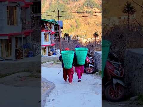 Old Manali #oldmanali #manali #shorts