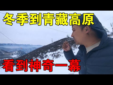 小伙从沙漠回家，冬季的青藏高原太冷，但是看到神奇的一幕【穷游的似水年华】