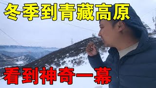 小伙从沙漠回家，冬季的青藏高原太冷，但是看到神奇的一幕【穷游的似水年华】