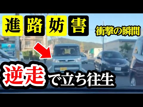 逆走で立ち往生、進路を塞がれた結果【閲覧注意】交通事故・危険運転 衝撃の瞬間【109】