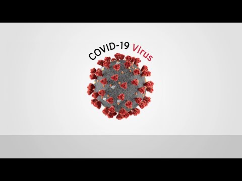 The Uses of Ortho's COVID-19 Antibody Tests