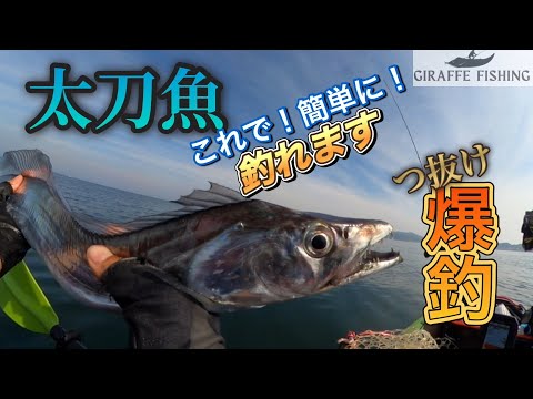 supでちょい沖！太刀魚爆釣！誰でも簡単テクニックでおすすめの釣り方！