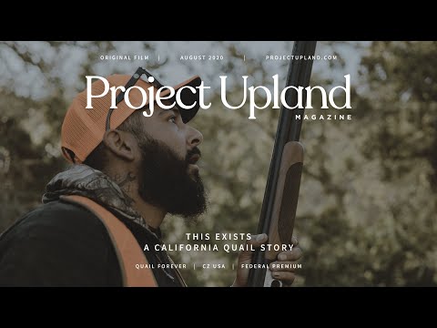 California Quail Hunting - This Exists