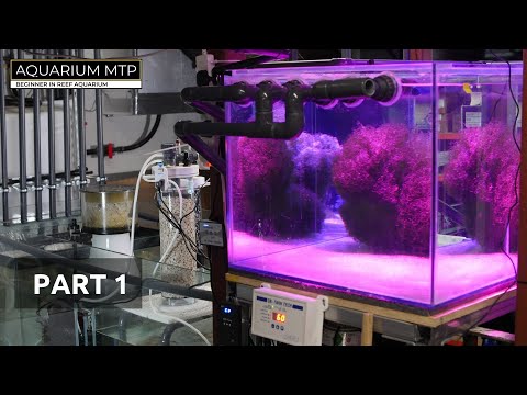 Reef Tank Sump setup by the beginner - PART 1