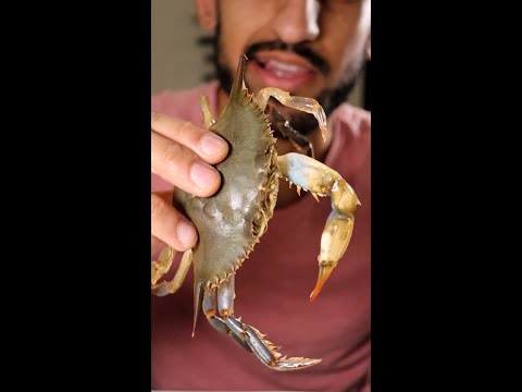 How to Cook Soft Shell Crab (Recipe Compilation)