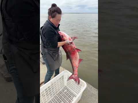 Esta chica salva la vida de un pez rojo 👏