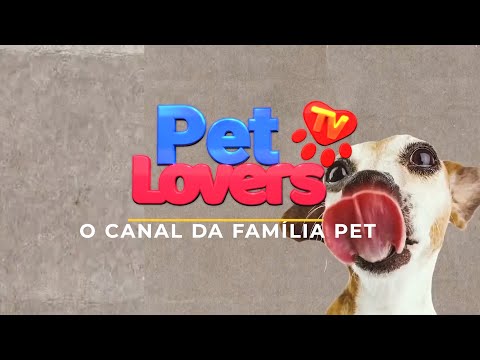 AO VIVO CANAL PETLOVERS TV