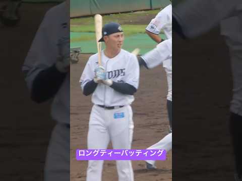 #ライオンズ #ショート動画 #秋季練習#長谷川信也#西川愛也