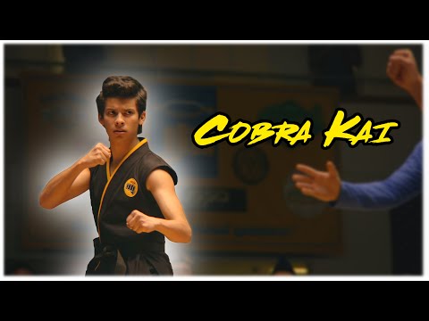 All Miguel Diaz Fight Scenes | Cobra Kai