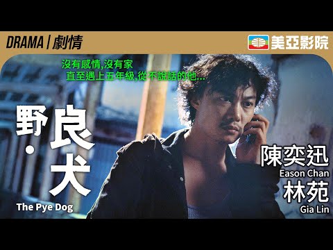 德國電影節 最佳少年電影大獎｜野良犬 (The Pye Dog)｜陳奕迅、林苑、文俊輝、曾志偉、邵音音｜粵語中字｜2007｜美亞影院 Cinema Mei Ah