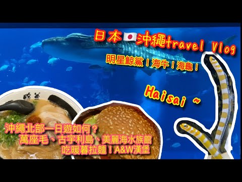 【KK travel Vlog】日本🇯🇵沖繩自助旅Vlog ｜沖繩北部一日遊｜萬座毛｜古宇利島｜美麗海水族館看明星鯨鯊 ｜美國村｜吃A&W漢堡｜暖暮拉麵｜男ひとり旅【記得開啟CC字幕哦】