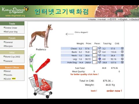 Dogmeat.org art project during the 2002 Football World Cup in South Korea and Japan, by Marc Lee