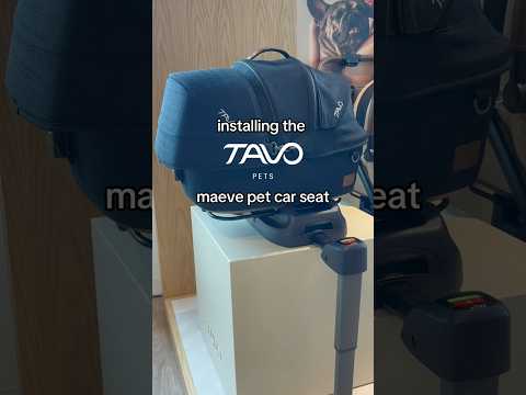 Install the Tavo Pets Maeve Pet Car Seat with us! ✨🐾 shop on Strolleria.com #nuna #tavopets #pets