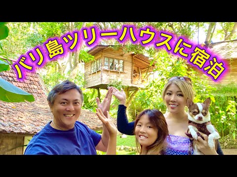 【バリ島暮らしVlog】ツリーハウスに泊まってみた！Roots Tree House / Minoo  beach club / BAMBU KITCHEN / 夏休みにしたいこと /ペット同伴