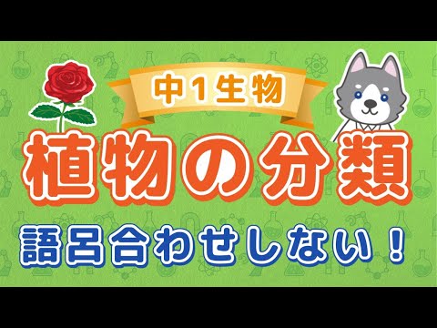 中1理科『植物の分類』＊語呂合わせなしの覚え方