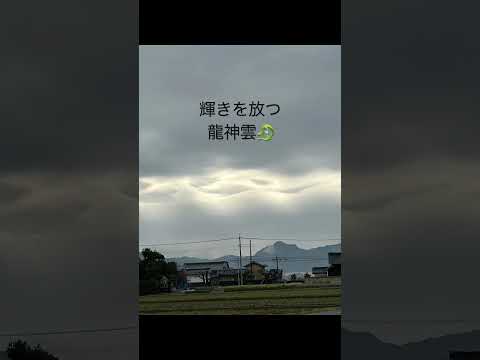 雲間に輝く幻想的な龍雲#shorts #short #龍神様 #龍神雲 #龍神雲