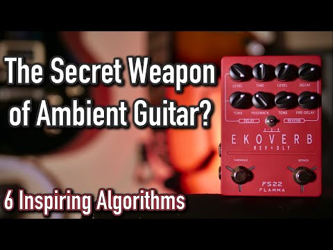 6 Inspiring Algorithms // Flamma Ekoverb In Depth Demo