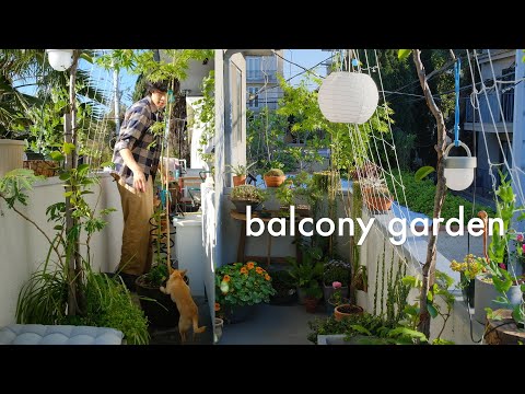 Apartment Balcony Garden | designing with plants