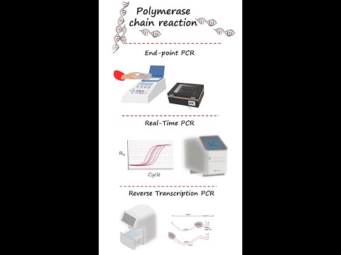 End-point PCR, real-time PCR(qPCR) and reverse transcription PCR (RT-PCR)  in under 3 minutes