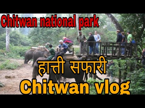 Elephant/Hatti Safari in saurah _ Chitwan national park _ Chitwan vlog_by Prakash Sanjel.