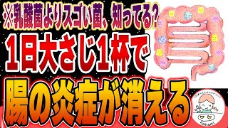 【腸活】乳酸菌はもう古い!?全身の炎症を抑えたいのであれば●●菌が有効です