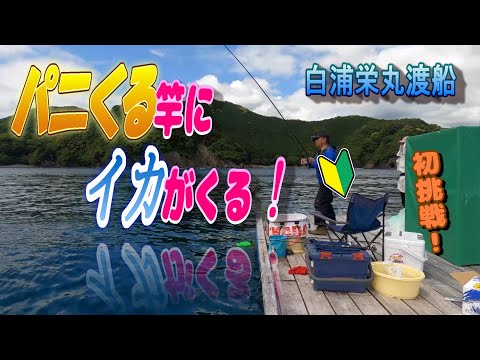 【筏釣り】【アオリイカ】新鮮なイカが食べたいとのことで、無謀にもアオリイカに初挑戦してみました！！