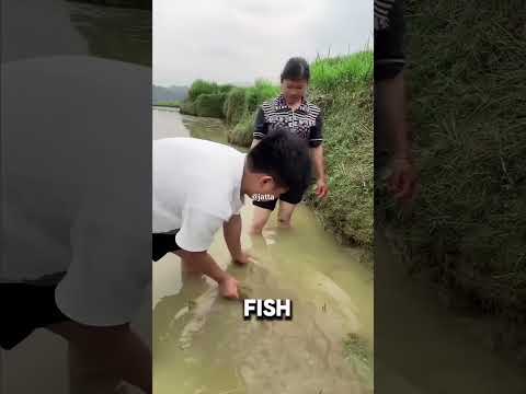 Thailand double farming technique #DoubleFarming #CoconutAndFish #EcoFriendlyFarming #ThailandFarm