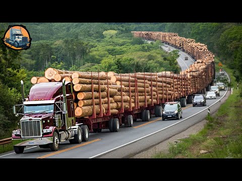 125 Jaw-Dropping Most Dangerous Transport Skills | Stubborn Idiots Who Drive Heavy Machinery #57