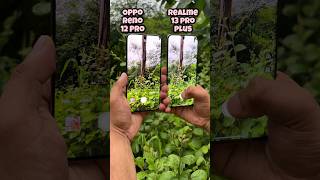 Oppo Reno 12 Pro vs Realme 13 Pro Plus Camera Compare #oppo #realme #shorts