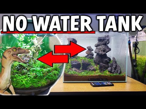 This Aquarium NEVER Needs A Water Change 😊