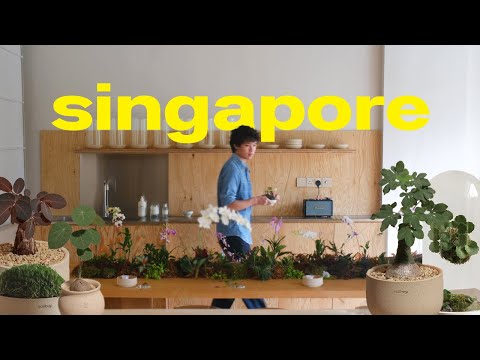 Singapore | Hosting a plant workshop, new foods & exploring the city