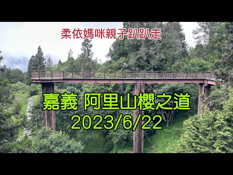 嘉義 阿里山櫻之道2023/6/22-06