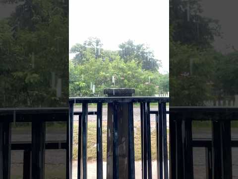 Rain in the slow motion #satisfying #slowmotion #rain