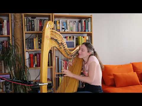 All the Pretty Little Horses (Jazz style!) - Celtic lever harp solo