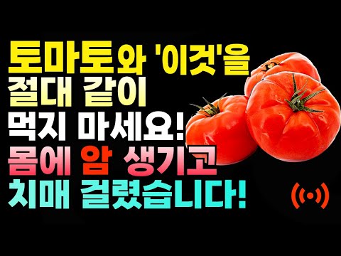 토마토와 상극인 음식 Top5! 절대 같이 드시면 안됩니다! 건강한 노년기를 위해 먹는 토마토,독소와 온갖 질병 싹 사라집니다! 건강 정보  음식 효능