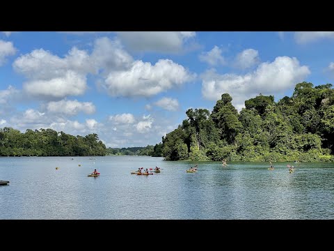 01- lifestyle -00083- MacRitchie Reservoir 最靚水塘! Singapore Top 20 Weekend Activities!  新加坡首20位最佳週末活動