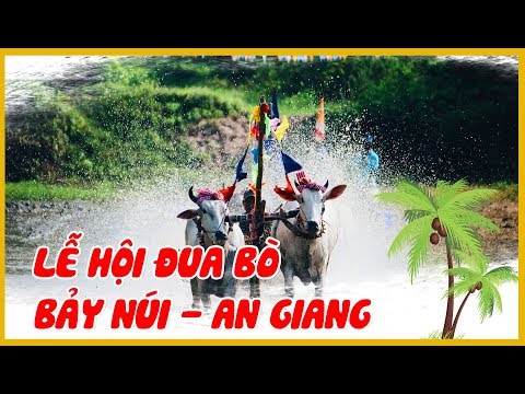 Lễ hội đua bò Bảy Núi - An Giang | Tui là người miền Tây - Tập 07