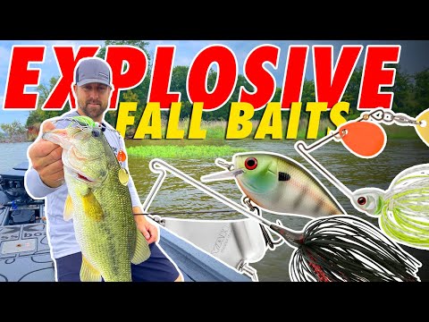 DOMINATE Fall Bass Fishing With 3 KEY Baits! (Fall Transition)