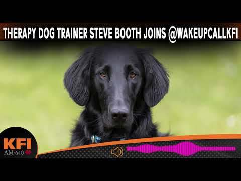 Therapy Dog Trainer Steve Booth joins @WakeUpCallKFI