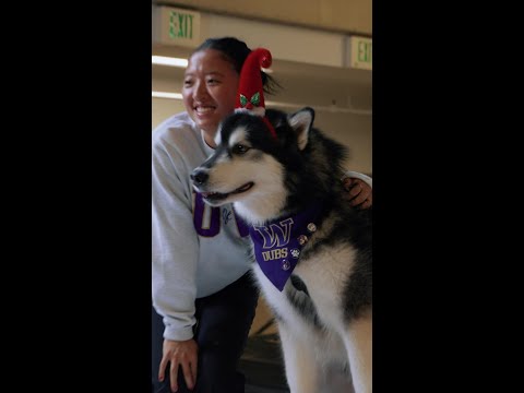 Holiday Dubs! | Washington Athletics