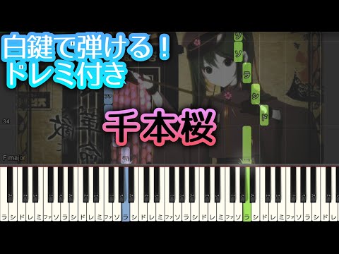 【白鍵で弾ける】千本桜 『 初心者向け ドレミ付き 』 ピアノ 簡単 ボカロ 簡単ピアノ