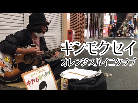 キンモクセイ / オレンジスパイニクラブ 【cover by 和泉隆宏】