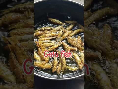 गेतु मछली रेसिपी // Getu Fish Curry // গেতা মাছ ভাজা #shorts #youtubeshort