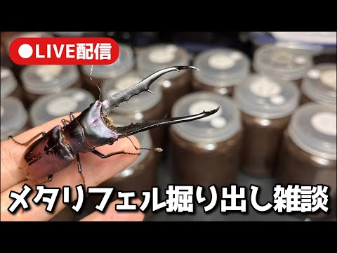 LIVE配信　メタリフェル掘り出し雑談