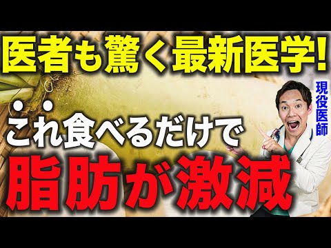 【熱心な読書家でも、まだ知らない】脂肪がごっそり落ちる食べ物「最新版ベスト5」を、現役の医師が解説します。(中性脂肪,皮下脂肪,コレステロール,肝臓,脂肪肝,症状,減らす,食べ物,食事)